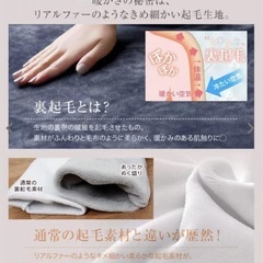 神戸レタス史上一番あったかい裏起毛シリーズの、「ぬく盛り」からジップパーカーの画像