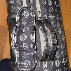 ペット キャリーバッグの画像