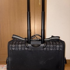 ペット キャリーバッグの画像