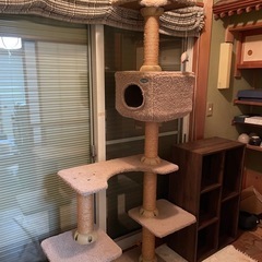 決まりました！キャットタワー　猫タワー