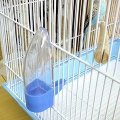 水入れ　エサ入れ　鳥かご用の画像