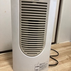 Mega active ion