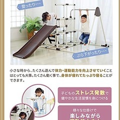 野中製作所　ジャングルジム
の画像