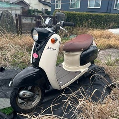 希少なツースト！ビーノ　