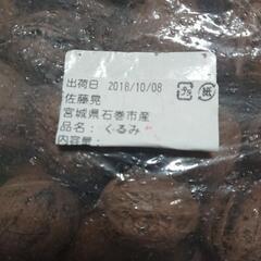 観賞用 工作用 クルミ 約900g 宮城県石巻市産の画像