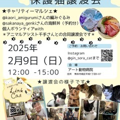 ＊保護猫ふれあい合同譲渡会＊