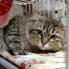 ゆったり❥ほっこりしたいなぁ··· - 大和郡山市