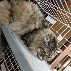 ゆったり❥ほっこりしたいなぁ··· − 奈良県