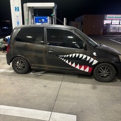 MT ミニカの画像