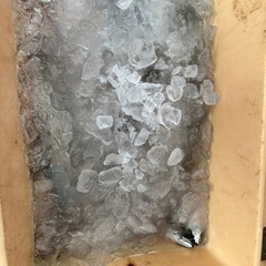 鮮魚の画像