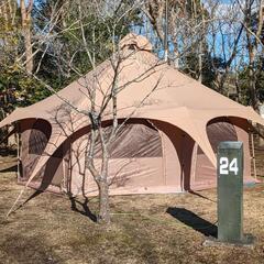 キャンプ仲間募集🎶🏕️😊