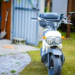 ホンダ　ズーマー　49cc 状態良好　中古車の画像