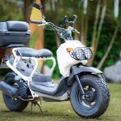 ホンダ　ズーマー　49cc 状態良好　中古車