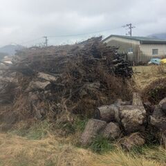 楠木の木です軽トラ1 車 4000円ですの画像