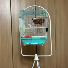 鳥かごスタンドの画像