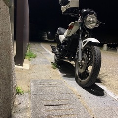 YAMAHA  RZ250の画像