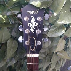 YAMAHA  APX-5Aの画像