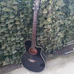 YAMAHA  APX-5A
