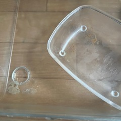 ハムスター　小動物　ゲージの画像