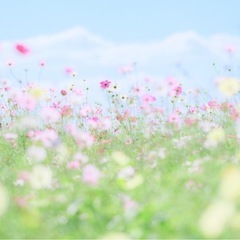 ★お話し中★子供服　女の子150 トップスまとめて5点以上