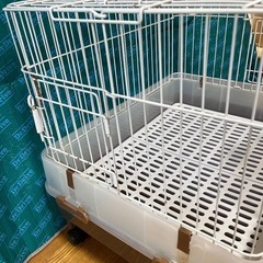 うさぎのゲージ他の画像