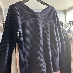 婦人服    swingl     カスタネなどの画像