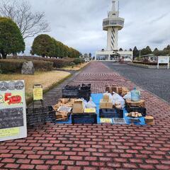 ☆★城山公園（国分）にて薪販売、全て500円★☆