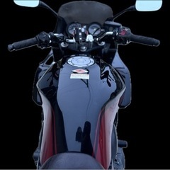 CB400SB  Revo 2010 限定カラーの画像
