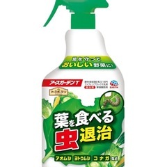 虫退治