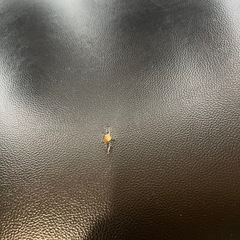 ニトリ オフィスチェアの画像