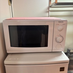 2015年電子レンジ