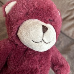 湯たんぽ カイロ ぬいぐるみ テディ くま 快眠 温かいの画像