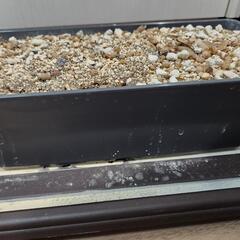 植木鉢と土と受け皿