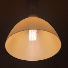 照明
