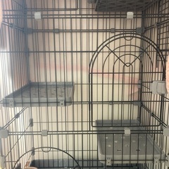 猫ゲージ他