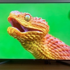 Sony　65X9500G ソニーブラビア ６５インチ