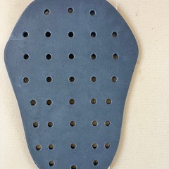 ウレタン製？バックプロテクターの画像