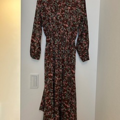 ワンピース　春服　フリーサイズの画像