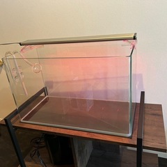 【GEX中古】60cm水槽+水槽台セット GEX中古】60cm水槽+水槽台セット 水槽