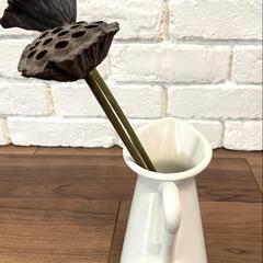 IKEA ソッケルエールト & ドライフラワー インテリアの画像