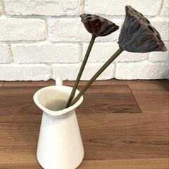 IKEA ソッケルエールト & ドライフラワー インテリアの画像