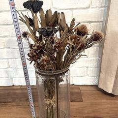 Actus フラワーベース & ドライフラワー インテリアの画像