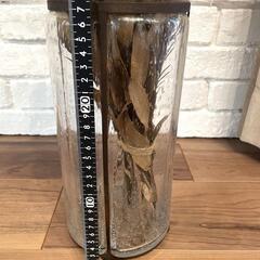 Actus フラワーベース & ドライフラワー インテリアの画像