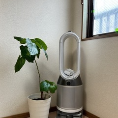 【極美品】ダイソン Pure Humidify+Cool PH01加湿空気清浄機 Dyson ホワイト