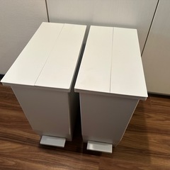 分別ゴミ箱 2個セット