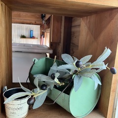 イミテーション植物の画像