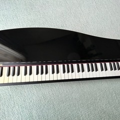 KORG MICROPIANOの画像