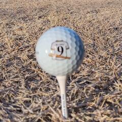 寒さに負けず⛳ - 鎌ケ谷市