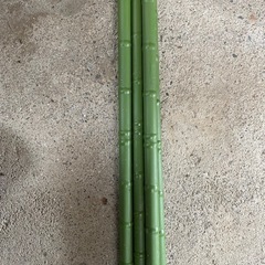 園芸支柱（イボ竹）の画像