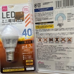 電球2個セット